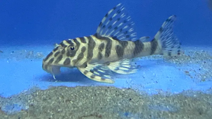 AquaHeaven Picture 3