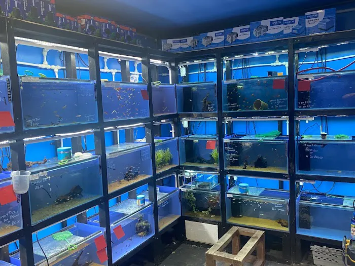 AquaHeaven Picture 4