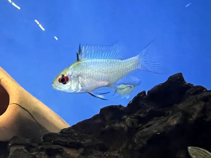 AquaHeaven Picture 8