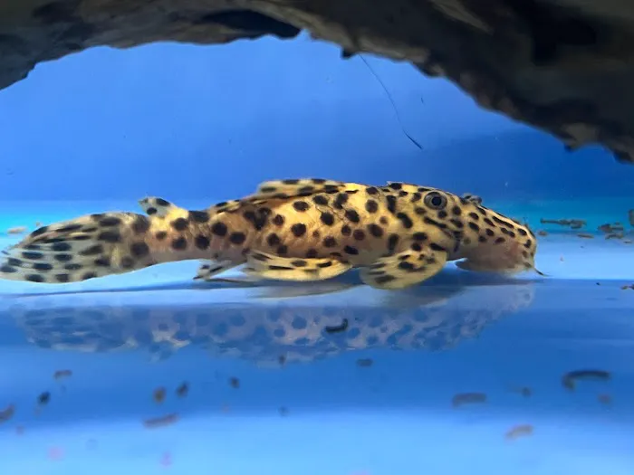 AquaHeaven Picture 6