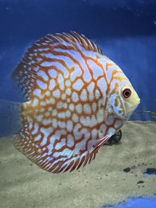 AquaHeaven Picture 5