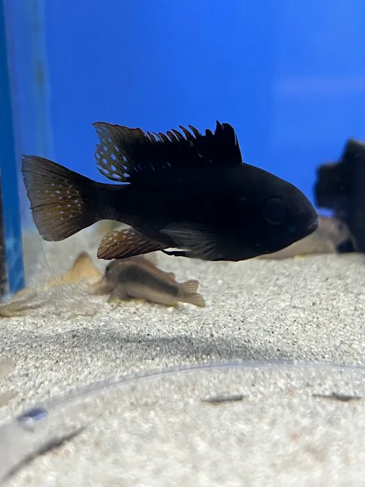 AquaHeaven Picture 7