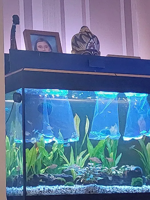 AquaHeaven Picture 10