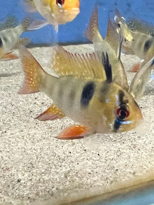 AquaHeaven Picture 9