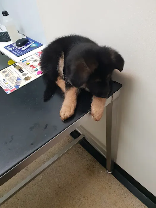 Gortlands Veterinary Clinic Picture 5