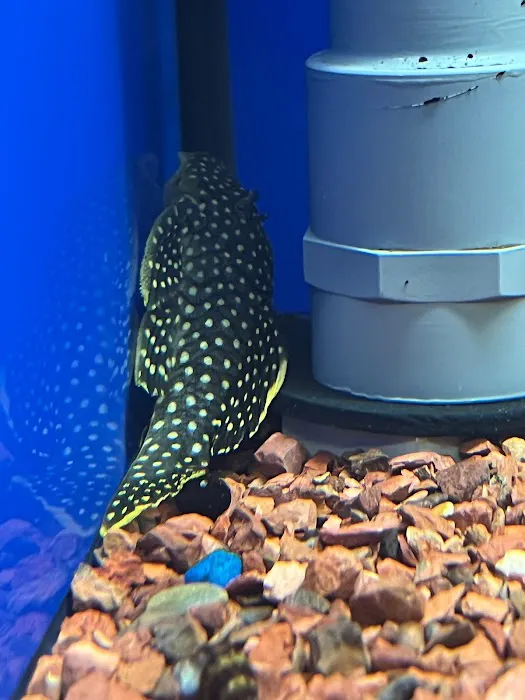 Coningsby Pet & Aquatics Ltd Picture 9