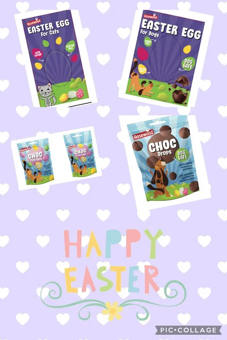 Coningsby Pet & Aquatics Ltd Picture 10