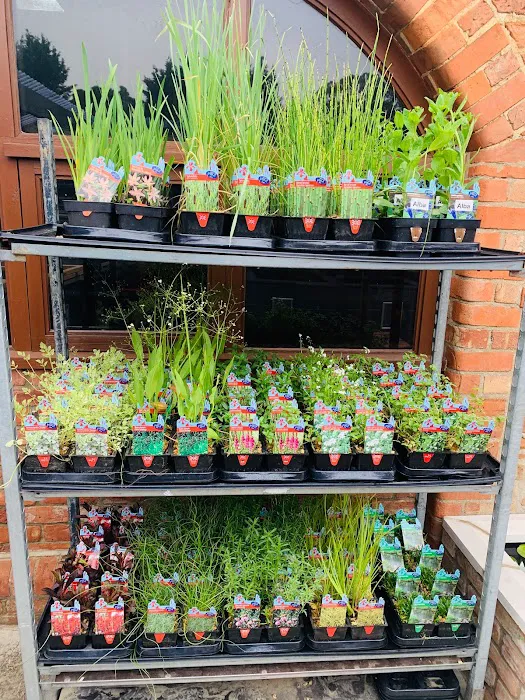 Clarke's Koi and Aquatic Centre Picture 3