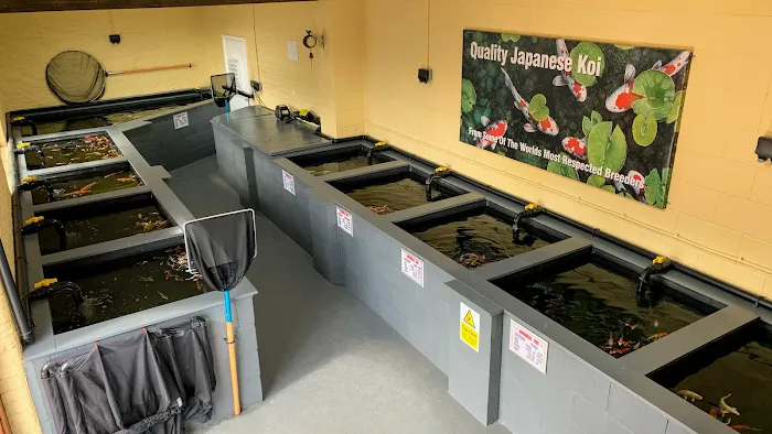 Clarke's Koi and Aquatic Centre Picture 5