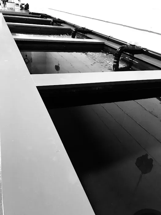 Clarke's Koi and Aquatic Centre Picture 6