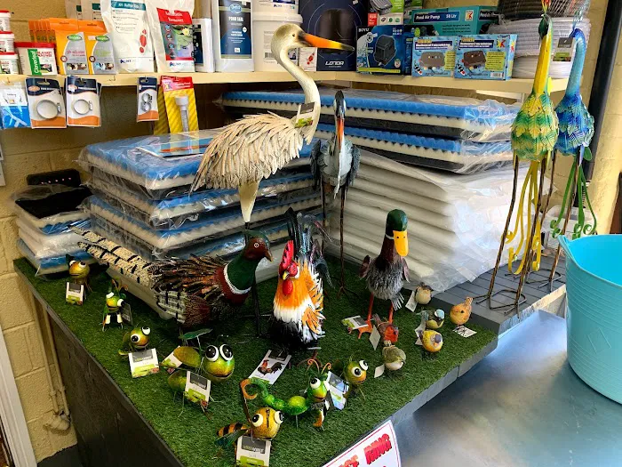 Clarke's Koi and Aquatic Centre Picture 10