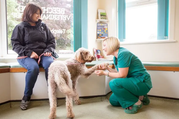 Beechwood Veterinary Group, Chapel Allerton Picture 1