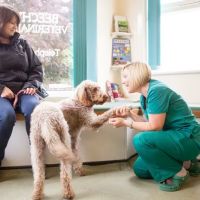 Beechwood Veterinary Group, Chapel Allerton ico