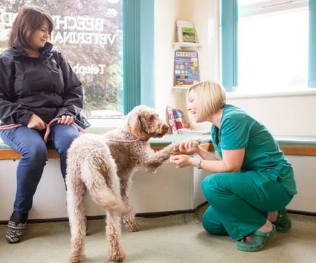 Beechwood Veterinary Group, Chapel Allerton