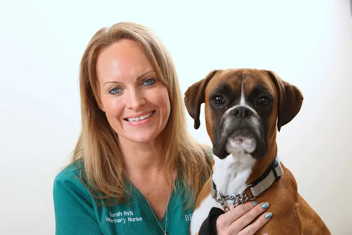 Beechwood Veterinary Group, Chapel Allerton Picture 4