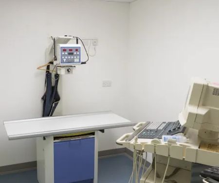 Vets4Pets - Leeds