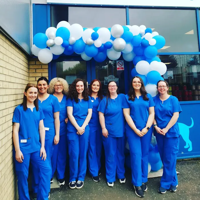 Fenaghy Veterinary Clinic Picture 2