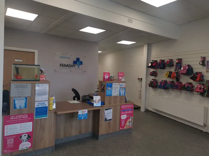 Fenaghy Veterinary Clinic Picture 6