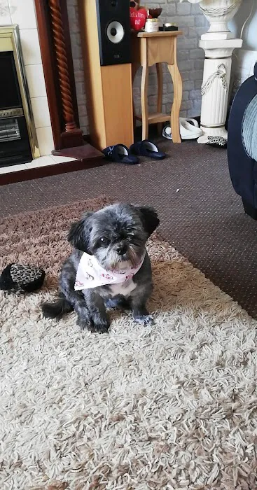 Fenaghy Veterinary Clinic Picture 7