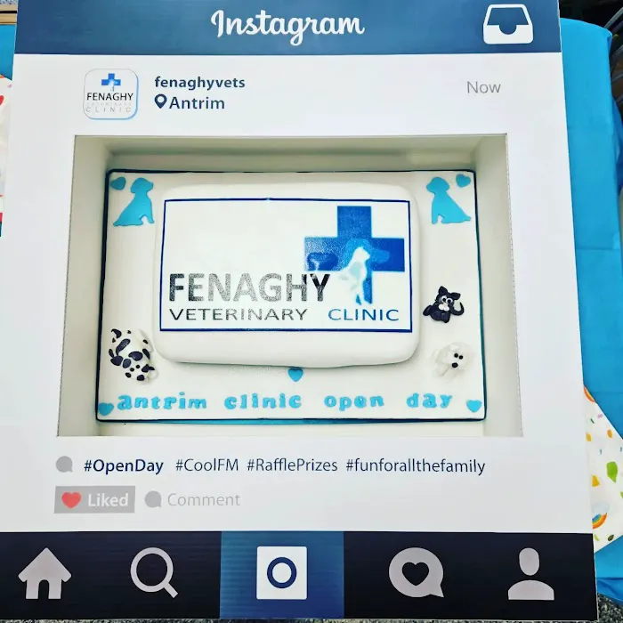 Fenaghy Veterinary Clinic Picture 10