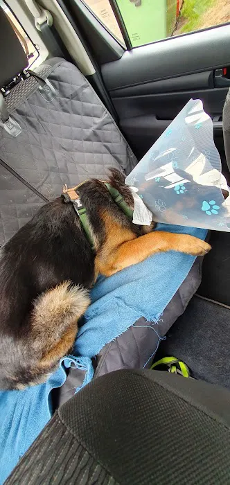 Firmount Veterinary Picture 4