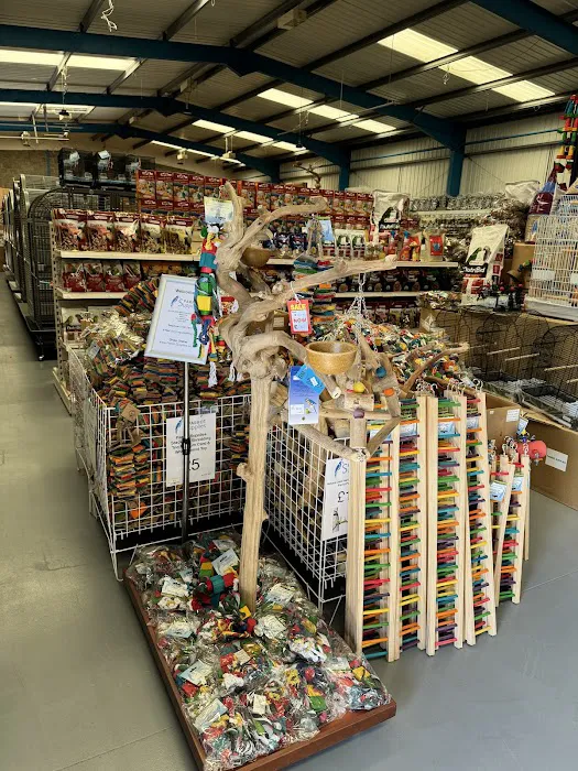 Parrot Supplies Picture 3