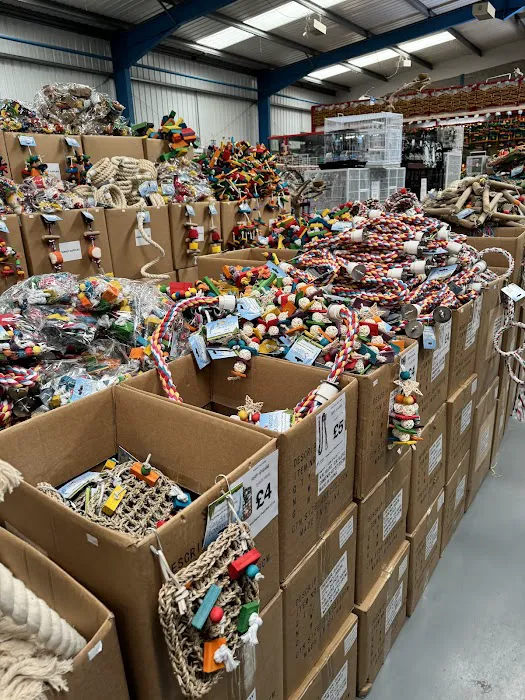 Parrot Supplies Picture 4