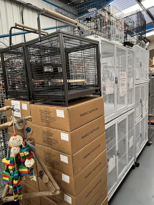 Parrot Supplies Picture 5