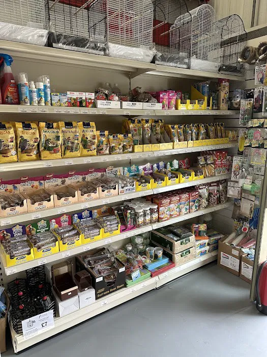 Parrot Supplies Picture 8