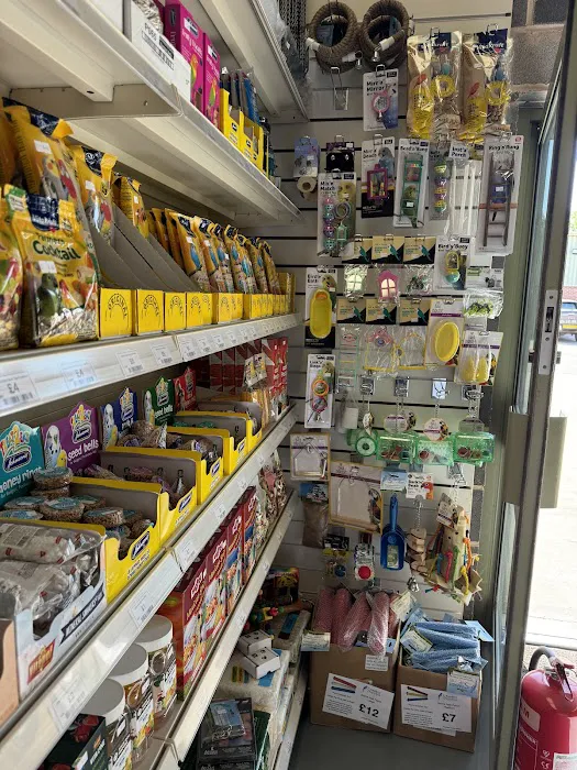 Parrot Supplies Picture 6