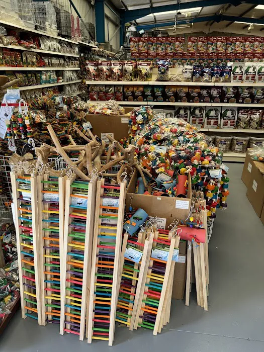 Parrot Supplies Picture 7