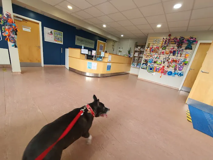 Vets Now Preston Picture 8