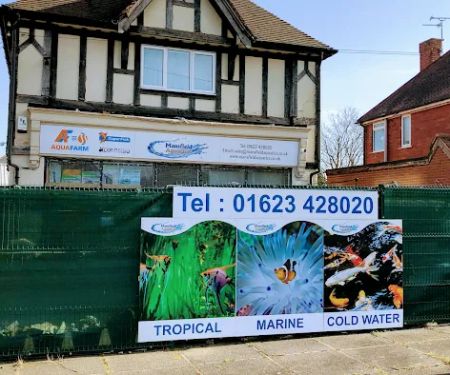 Mansfield Aquatics Limited