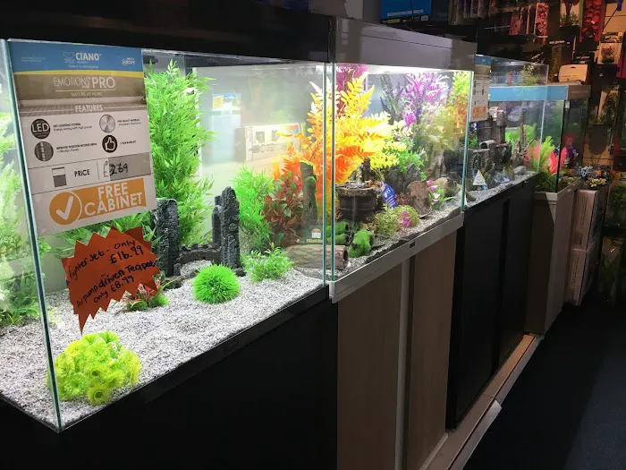 Mansfield Aquatics Limited Picture 6