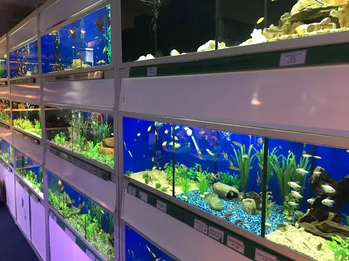 Mansfield Aquatics Limited Picture 7