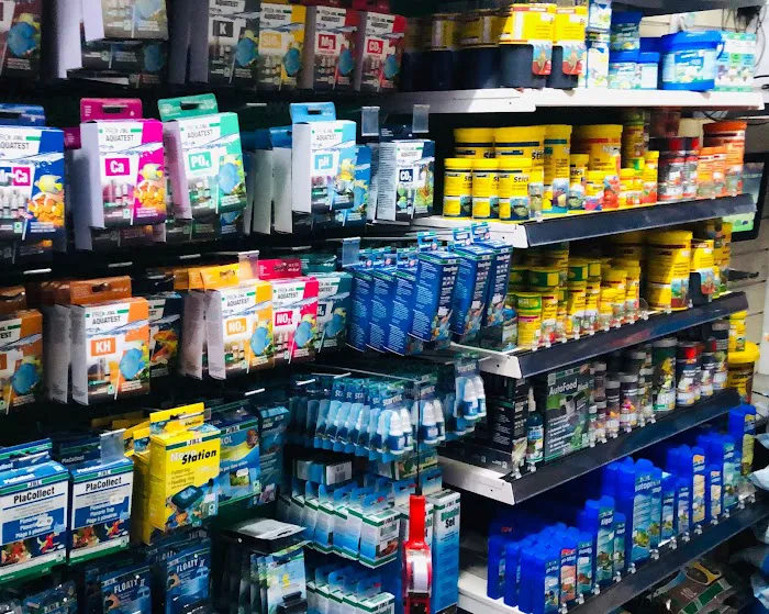 Mansfield Aquatics Limited Picture 8