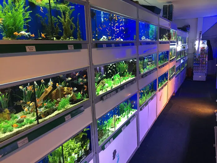 Mansfield Aquatics Limited Picture 10