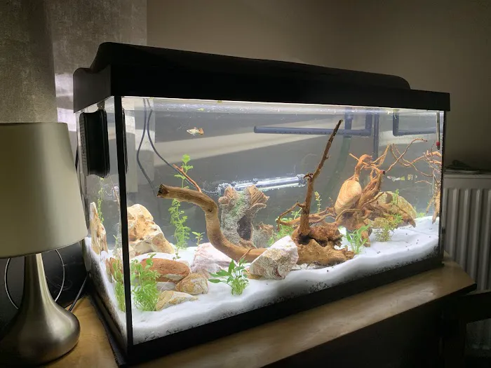 Pro Shrimp Picture 1