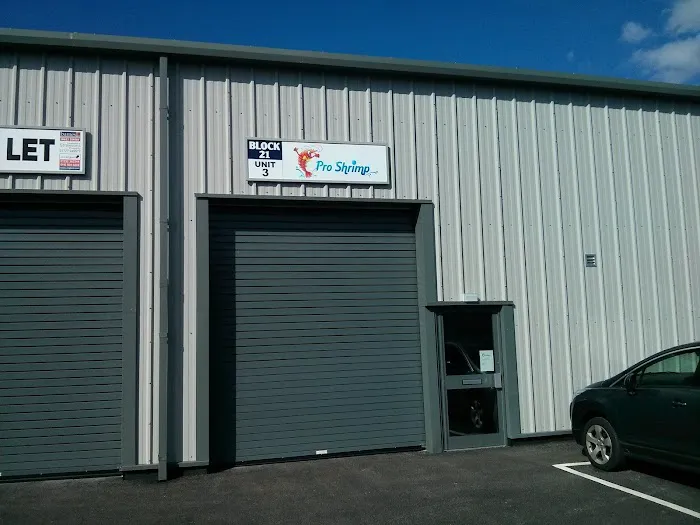 Pro Shrimp Picture 2