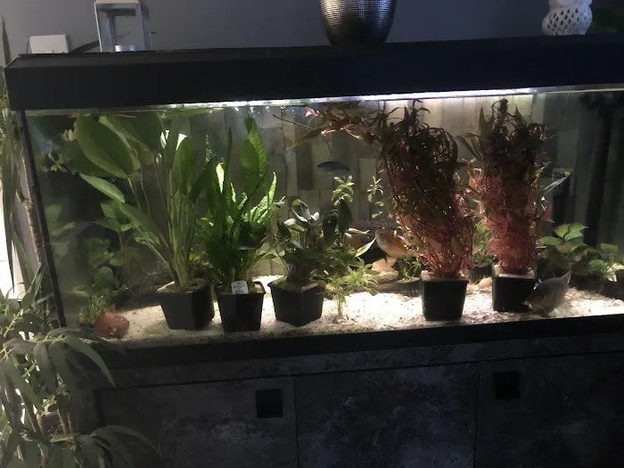 Pro Shrimp Picture 7