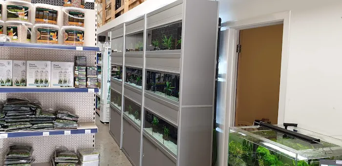 Pro Shrimp Picture 8