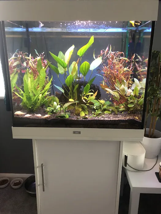 Pro Shrimp Picture 4