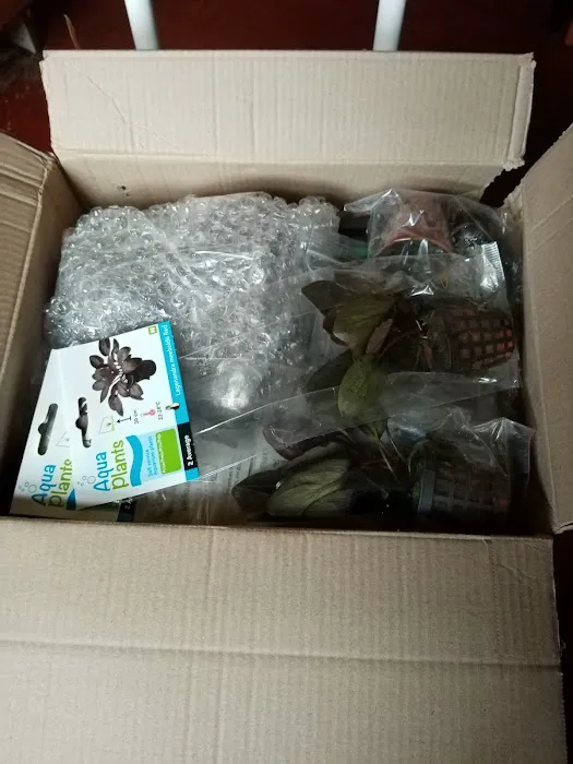 Pro Shrimp Picture 10