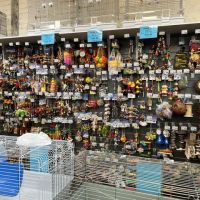 Mansfield Aquatic, Reptile & Pet Centre (MARP Centre) ico