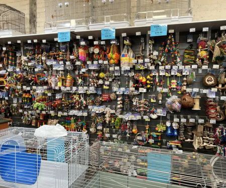 Mansfield Aquatic, Reptile & Pet Centre (MARP Centre)