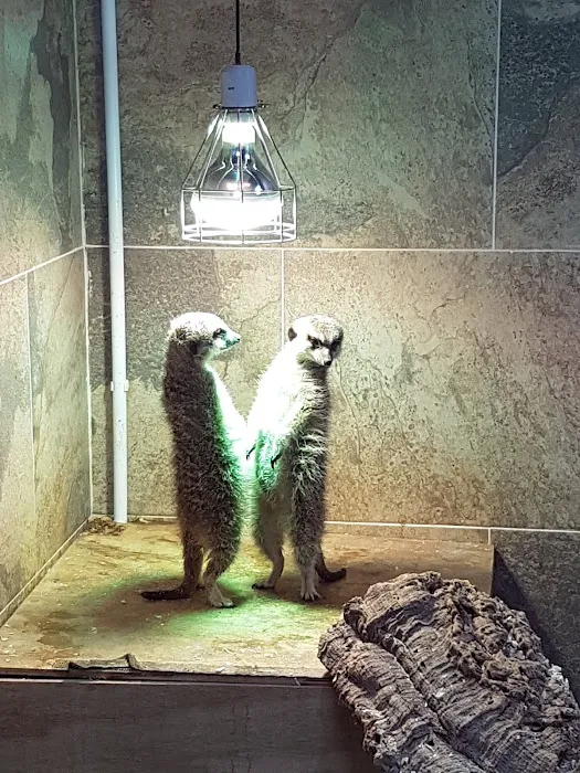 Mansfield Aquatic, Reptile & Pet Centre (MARP Centre) Picture 4