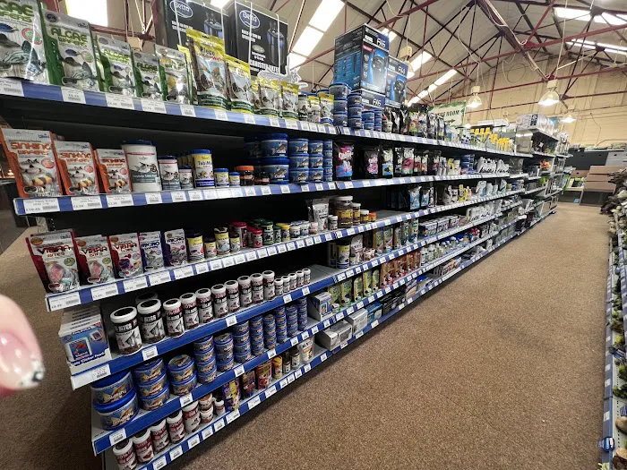 Mansfield Aquatic, Reptile & Pet Centre (MARP Centre) Picture 5