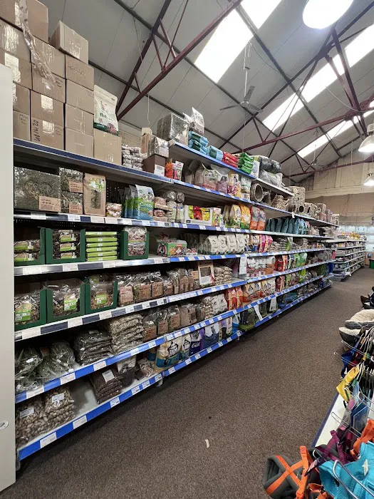 Mansfield Aquatic, Reptile & Pet Centre (MARP Centre) Picture 8