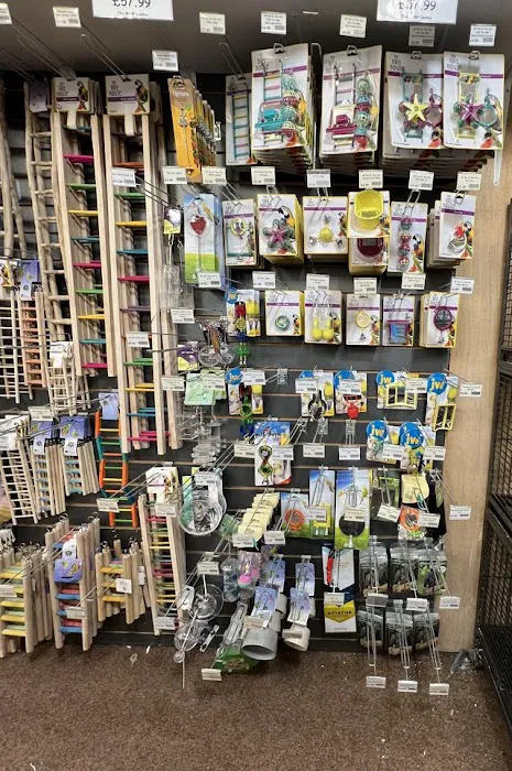 Mansfield Aquatic, Reptile & Pet Centre (MARP Centre) Picture 9