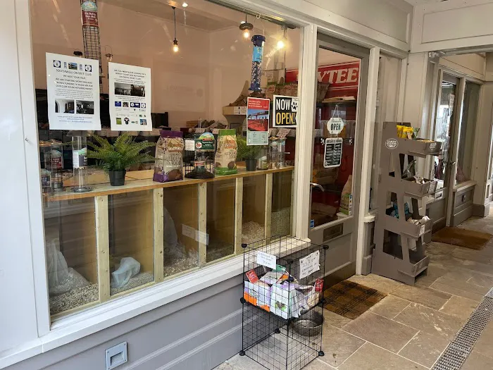 Pawsome Treats Picture 3